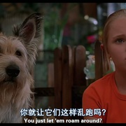 都是戴茜惹的祸 Because of Winn-Dixie