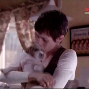 迅雷先锋 Man's Best Friend
