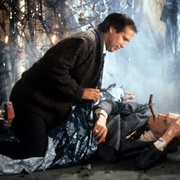 疯狂圣诞假期 National Lampoon's Christmas Vacation