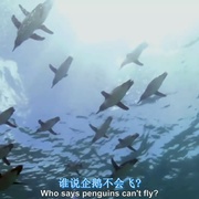 南太平洋 South Pacific