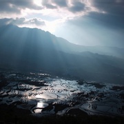 美丽中国 Wild China