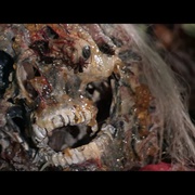 最后的食人族世界 Ultimo mondo cannibale