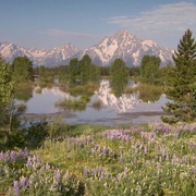 黄石公园 Yellowstone