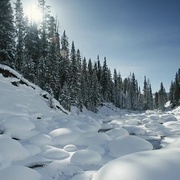 黄石公园 Yellowstone