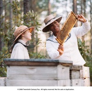 蜜蜂的秘密生活 The Secret Life of Bees