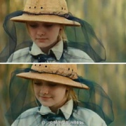 蜜蜂的秘密生活 The Secret Life of Bees