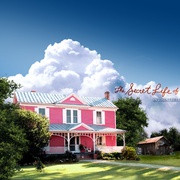 蜜蜂的秘密生活 The Secret Life of Bees