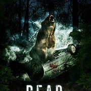 狂熊之灾 Bear