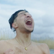 丹麦之子 Danmarks sønner