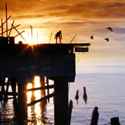 狗镇之主 Lords of Dogtown