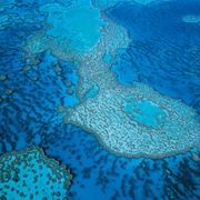 大堡礁 Great Barrier Reef