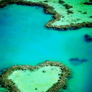 大堡礁 Great Barrier Reef
