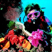 大堡礁 Great Barrier Reef