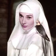 点击查看图片 修女传 The Nun's Story