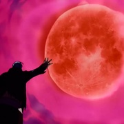 点击查看图片 海贼王剧场版5:被诅咒的圣剑 ONE PIECE 呪われた聖剣