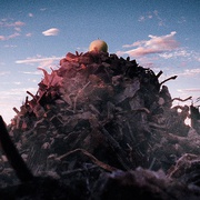 种子 Seed
