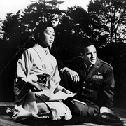 樱花恋 Sayonara