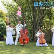 真爱不迟到
