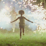 南国野兽 Beasts of the Southern Wild
