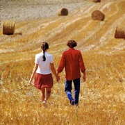 点击查看图片 偷香 Stealing Beauty