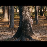 阿拉巴马的月亮 Alabama Moon
