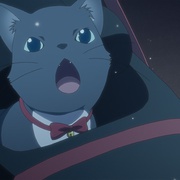 高校星歌剧 第一季 スタミュ