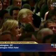 超正常化 HyperNormalisation