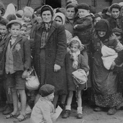 奥斯威辛：纳粹最后的对策 Auschwitz: The Nazis and the 'Final Solution'