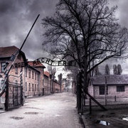 奥斯威辛：纳粹最后的对策 Auschwitz: The Nazis and the 'Final Solution'
