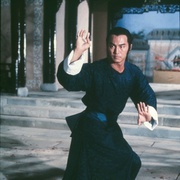 洪拳大师 洪拳大師