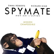 金刚归来 Spymate
