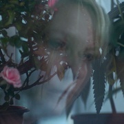 伍德肖克的偏执 Woodshock