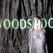 伍德肖克的偏执 Woodshock