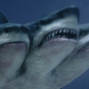 夺命三头鲨 3 Headed Shark Attack