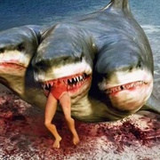 夺命三头鲨 3 Headed Shark Attack