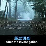 恐怖系统 Ils