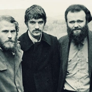 曾经是兄弟：罗比·罗伯特森与乐队 Once Were Brothers: Robbie Robertson and The Band
