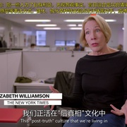 真相之后：造谣与假新闻的代价 After Truth: Disinformation and the Cost of Fake News