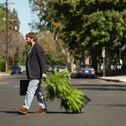 蕨间访谈：电影版 Between Two Ferns: The Movie