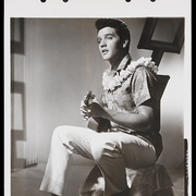 蓝色夏威夷 Blue Hawaii