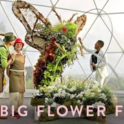 鲜花大战 The Big Flower Fight