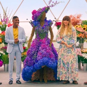 鲜花大战 The Big Flower Fight