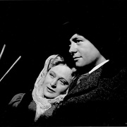 伟大的安巴逊 The Magnificent Ambersons