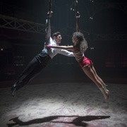马戏之王 The Greatest Showman