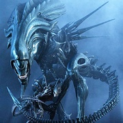异形大战铁血战士 AVP: Alien vs. Predator