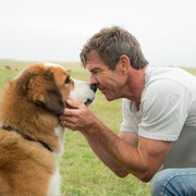 一条狗的使命 A Dog's Purpose