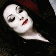 亚当斯一家 The Addams Family