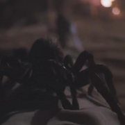 小魔星 Arachnophobia
