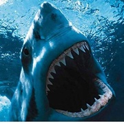 大白鲨 Jaws