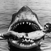 大白鲨 Jaws